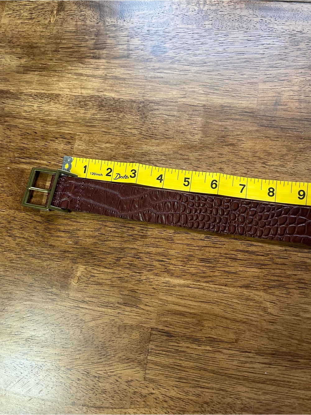 Urban Outfitters Dark Brown Croc-Embossed Leather Belt with Brass Buckle